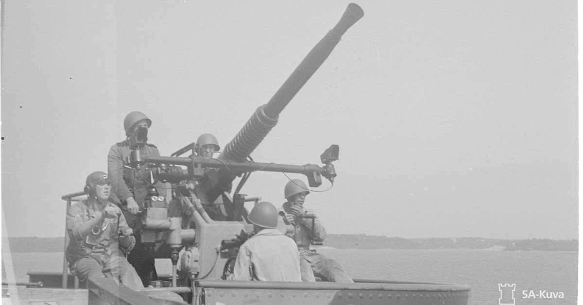 Veteranorganisationernas strukturella omvandling i Finland